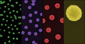 Gold nanoshells appear in this series of photographs, magnified 15,000X, 20,000X, 30,000X, and 95,000X respectively.